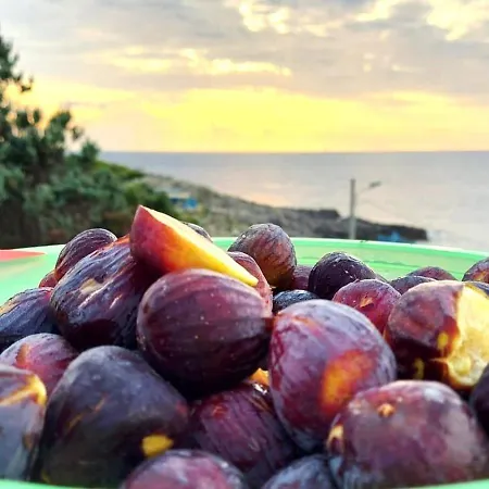 Kores House Villa Salve